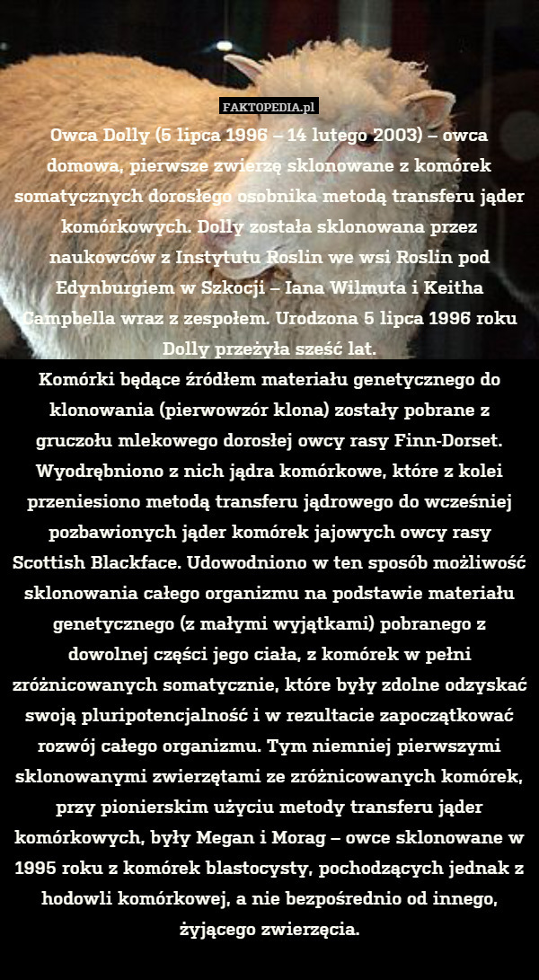 Owca Dolly (5 lipca 1996 – 14 lutego 2003) – owca domowa, pierwsze zwierzę sklonowane z komórek somatycznych dorosłego osobnika metodą transferu jąder komórkowych. Dolly została sklonowana przez naukowców z Instytutu Roslin we wsi Roslin pod Edynburgiem w Szkocji – Iana Wilmuta i Keitha Campbella wraz z zespołem. Urodzona 5 lipca 1996 roku Dolly przeżyła sześć lat.
Komórki będące źródłem materiału genetycznego do klonowania (pierwowzór klona) zostały pobrane z gruczołu mlekowego dorosłej owcy rasy Finn-Dorset. Wyodrębniono z nich jądra komórkowe, które z kolei przeniesiono metodą transferu jądrowego do wcześniej pozbawionych jąder komórek jajowych owcy rasy Scottish Blackface. Udowodniono w ten sposób możliwość sklonowania całego organizmu na podstawie materiału genetycznego (z małymi wyjątkami) pobranego z dowolnej części jego ciała, z komórek w pełni zróżnicowanych somatycznie, które były zdolne odzyskać swoją pluripotencjalność i w rezultacie zapoczątkować rozwój całego organizmu. Tym niemniej pierwszymi sklonowanymi zwierzętami ze zróżnicowanych komórek, przy pionierskim użyciu metody transferu jąder komórkowych, były Megan i Morag – owce sklonowane w 1995 roku z komórek blastocysty, pochodzących jednak z hodowli komórkowej, a nie bezpośrednio od innego, żyjącego zwierzęcia. 