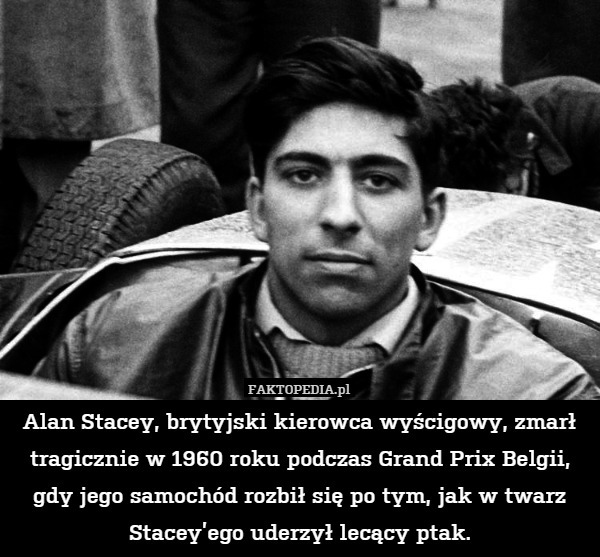 Alan Stacey, brytyjski kierowca wyścigowy, zmarł tragicznie w 1960 roku podczas Grand Prix Belgii, gdy jego samochód rozbił się po tym, jak w twarz Stacey’ego uderzył lecący ptak. 