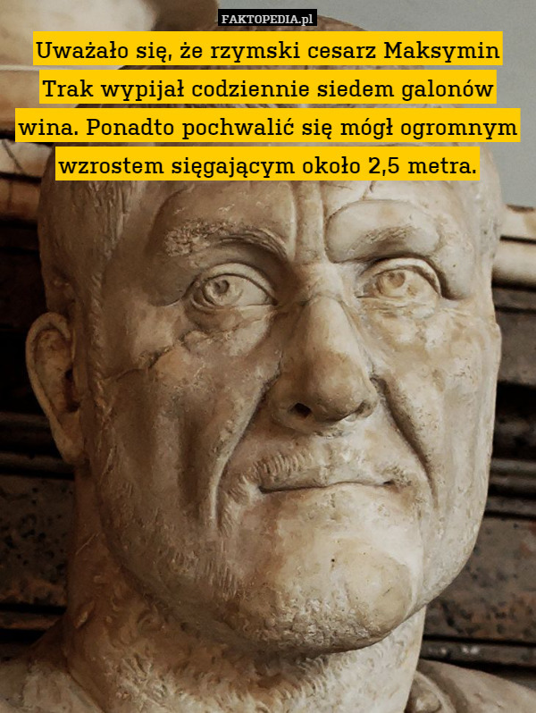 Uważało się, że rzymski cesarz Maksymin Trak wypijał codziennie siedem galonów wina. Ponadto pochwalić się mógł ogromnym wzrostem sięgającym około 2,5 metra. 