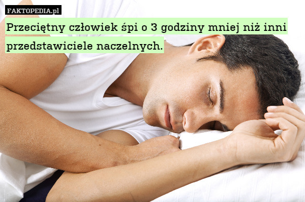 Przeciętny człowiek śpi o 3 godziny mniej niż inni przedstawiciele naczelnych. 