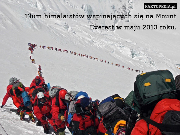 Tłum himalaistów wspinających się na Mount Everest w maju 2013 roku. 