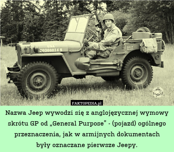 Nazwa Jeep wywodzi się z anglojęzycznej wymowy skrótu GP od „General Purpose” - (pojazd) ogólnego przeznaczenia, jak w armijnych dokumentach
były oznaczane pierwsze Jeepy. 
