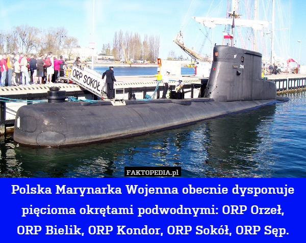 Polska Marynarka Wojenna obecnie dysponuje pięcioma okrętami podwodnymi: ORP Orzeł,
ORP Bielik, ORP Kondor, ORP Sokół, ORP Sęp. 