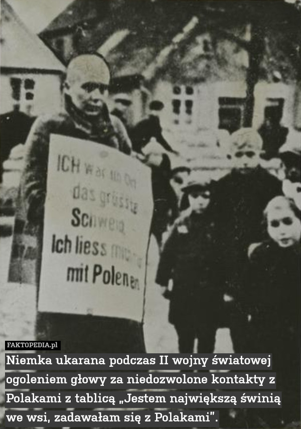 Niemka ukarana podczas II wojny światowej ogoleniem głowy za niedozwolone kontakty z Polakami z tablicą „Jestem największą świnią we wsi, zadawałam się z Polakami”. 
