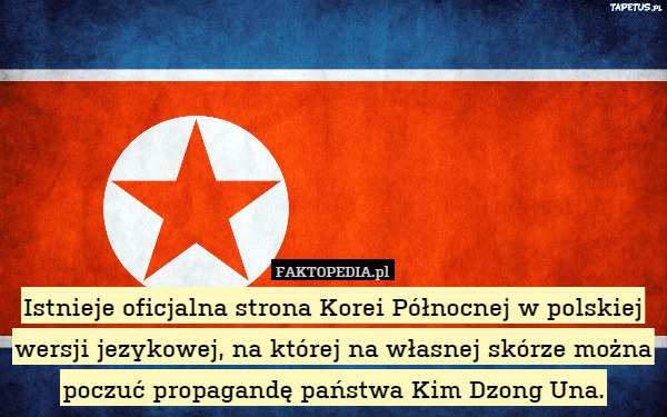 Istnieje oficjalna strona Korei Północnej w polskiej wersji jezykowej, na której na własnej skórze można poczuć propagandę państwa Kim Dzong Una. 