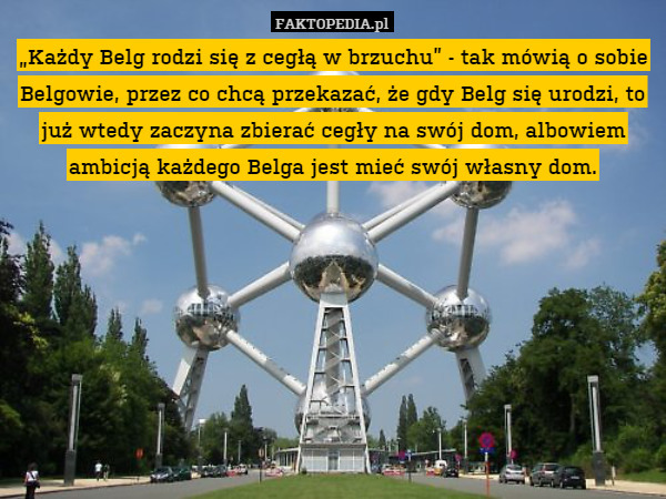 „Każdy Belg rodzi się z cegłą w brzuchu” - tak mówią o sobie Belgowie, przez co chcą przekazać, że gdy Belg się urodzi, to już wtedy zaczyna zbierać cegły na swój dom, albowiem ambicją każdego Belga jest mieć swój własny dom. 