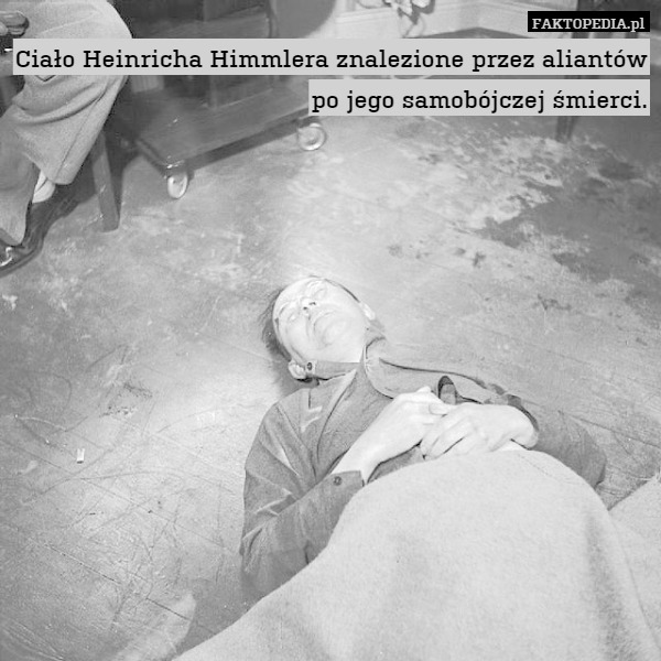 Ciało Heinricha Himmlera znalezione przez aliantów po jego samobójczej śmierci. 