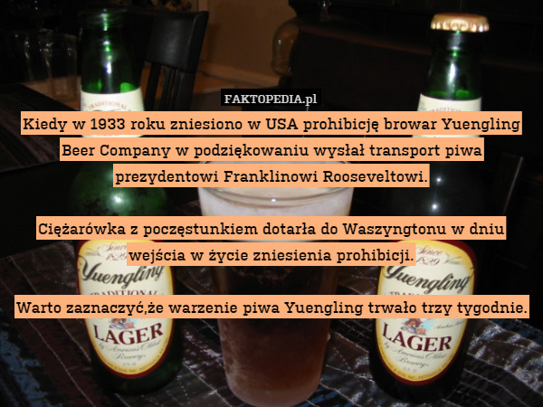 Kiedy w 1933 roku zniesiono w USA prohibicję browar Yuengling Beer Company w podziękowaniu wysłał transport piwa prezydentowi Franklinowi Rooseveltowi.

Ciężarówka z poczęstunkiem dotarła do Waszyngtonu w dniu wejścia w życie zniesienia prohibicji.

Warto zaznaczyć,że warzenie piwa Yuengling trwało trzy tygodnie. 