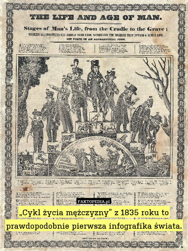 „Cykl życia mężczyzny” z 1835 roku to prawdopodobnie pierwsza infografika świata. 