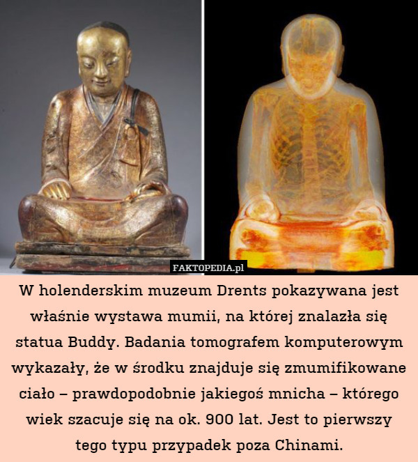 W holenderskim muzeum Drents pokazywana jest właśnie wystawa mumii, na której znalazła się statua Buddy. Badania tomografem komputerowym wykazały, że w środku znajduje się zmumifikowane ciało – prawdopodobnie jakiegoś mnicha – którego wiek szacuje się na ok. 900 lat. Jest to pierwszy tego typu przypadek poza Chinami. 