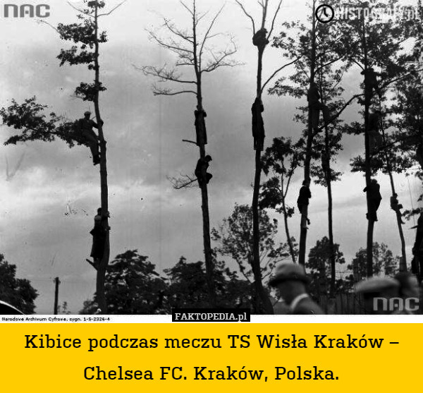 Kibice podczas meczu TS Wisła Kraków – Chelsea FC. Kraków, Polska. 