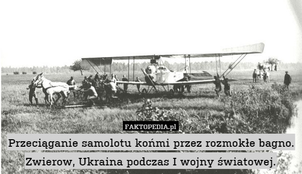 Przeciąganie samolotu końmi przez rozmokłe bagno. Zwierow, Ukraina podczas I wojny światowej. 