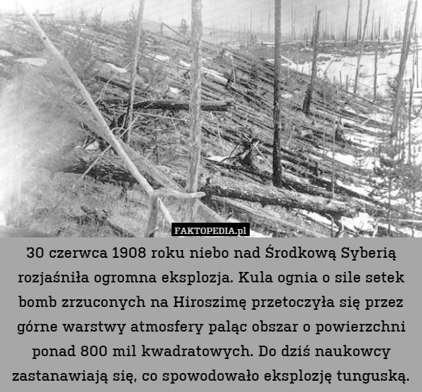 30 czerwca 1908 roku niebo nad Środkową Syberią rozjaśniła ogromna eksplozja. Kula ognia o sile setek bomb zrzuconych na Hiroszimę przetoczyła się przez górne warstwy atmosfery paląc obszar o powierzchni ponad 800 mil kwadratowych. Do dziś naukowcy zastanawiają się, co spowodowało eksplozję tunguską. 