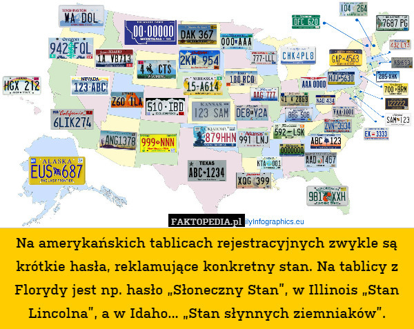 Na amerykańskich tablicach rejestracyjnych zwykle są krótkie hasła, reklamujące konkretny stan. Na tablicy z Florydy jest np. hasło „Słoneczny Stan”, w Illinois „Stan Lincolna”, a w Idaho... „Stan słynnych ziemniaków”. 
