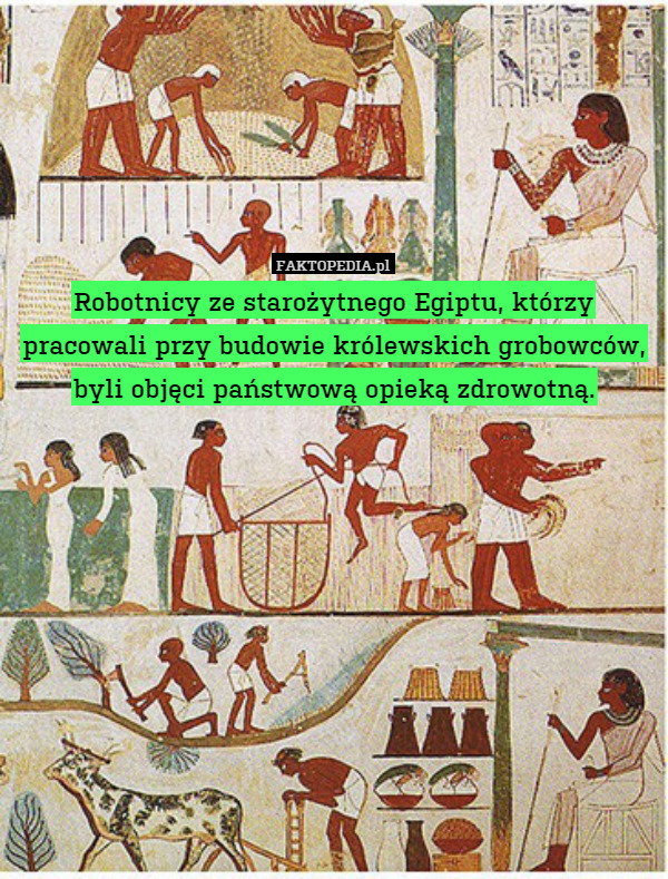 Robotnicy ze starożytnego Egiptu, którzy pracowali przy budowie królewskich grobowców, byli objęci państwową opieką zdrowotną. 
