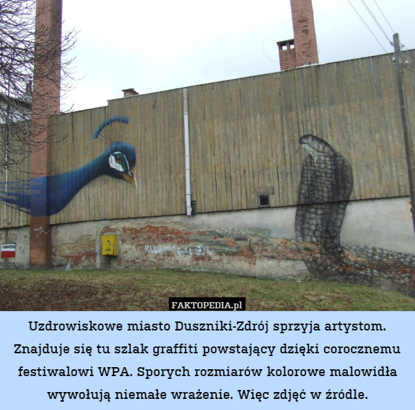 Uzdrowiskowe miasto Duszniki-Zdrój sprzyja artystom. Znajduje się tu szlak graffiti powstający dzięki corocznemu festiwalowi WPA. Sporych rozmiarów kolorowe malowidła wywołują niemałe wrażenie. Więc zdjęć w źródle. 