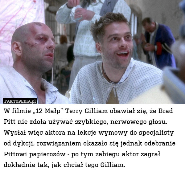 W filmie „12 Małp” Terry Gilliam obawiał się, że Brad Pitt nie zdoła używać szybkiego, nerwowego głosu. Wysłał więc aktora na lekcje wymowy do specjalisty od dykcji, rozwiązaniem okazało się jednak odebranie Pittowi papierosów - po tym zabiegu aktor zagrał dokładnie tak, jak chciał tego Gilliam. 