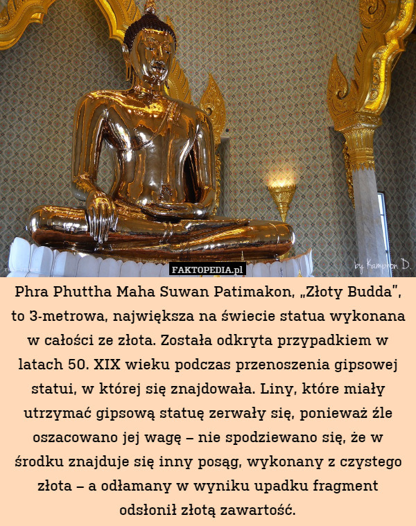 Phra Phuttha Maha Suwan Patimakon, „Złoty Budda”, to 3-metrowa, największa na świecie statua wykonana w całości ze złota. Została odkryta przypadkiem w latach 50. XIX wieku podczas przenoszenia gipsowej statui, w której się znajdowała. Liny, które miały utrzymać gipsową statuę zerwały się, ponieważ źle oszacowano jej wagę – nie spodziewano się, że w środku znajduje się inny posąg, wykonany z czystego złota – a odłamany w wyniku upadku fragment odsłonił złotą zawartość. 