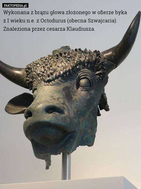 Wykonana z brązu głowa złożonego w ofierze byka
 z I wieku n.e. z Octodurus (obecna Szwajcaria). Znaleziona przez cesarza Klaudiusza. 