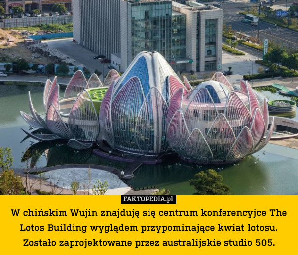 W chińskim Wujin znajduję się centrum konferencyjce The Lotos Building wyglądem przypominające kwiat lotosu. Zostało zaprojektowane przez australijskie studio 505. 