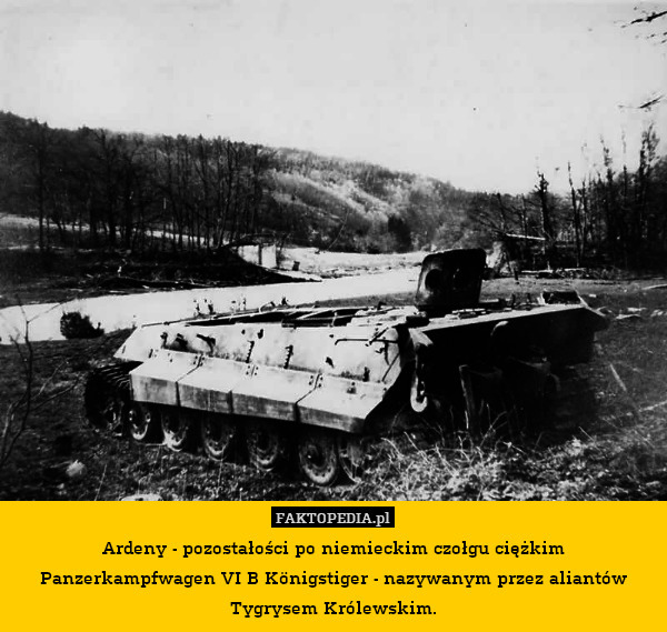 Ardeny - pozostałości po niemieckim czołgu ciężkim Panzerkampfwagen VI B Königstiger - nazywanym przez aliantów Tygrysem Królewskim. 