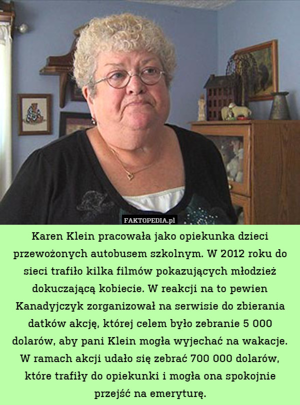Karen Klein pracowała jako opiekunka dzieci przewożonych autobusem szkolnym. W 2012 roku do sieci trafiło kilka filmów pokazujących młodzież dokuczającą kobiecie. W reakcji na to pewien Kanadyjczyk zorganizował na serwisie do zbierania datków akcję, której celem było zebranie 5 000 dolarów, aby pani Klein mogła wyjechać na wakacje.
W ramach akcji udało się zebrać 700 000 dolarów, które trafiły do opiekunki i mogła ona spokojnie przejść na emeryturę. 