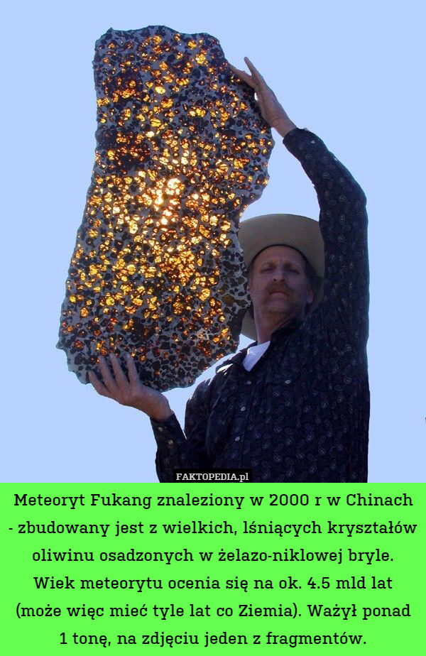 Meteoryt Fukang znaleziony w 2000 r w Chinach - zbudowany jest z wielkich, lśniących kryształów oliwinu osadzonych w żelazo-niklowej bryle.
Wiek meteorytu ocenia się na ok. 4.5 mld lat (może więc mieć tyle lat co Ziemia). Ważył ponad
1 tonę, na zdjęciu jeden z fragmentów. 