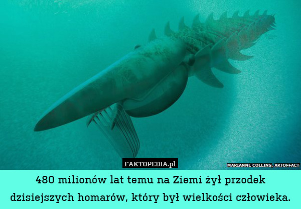 480 milionów lat temu na Ziemi żył przodek dzisiejszych homarów, który był wielkości człowieka. 