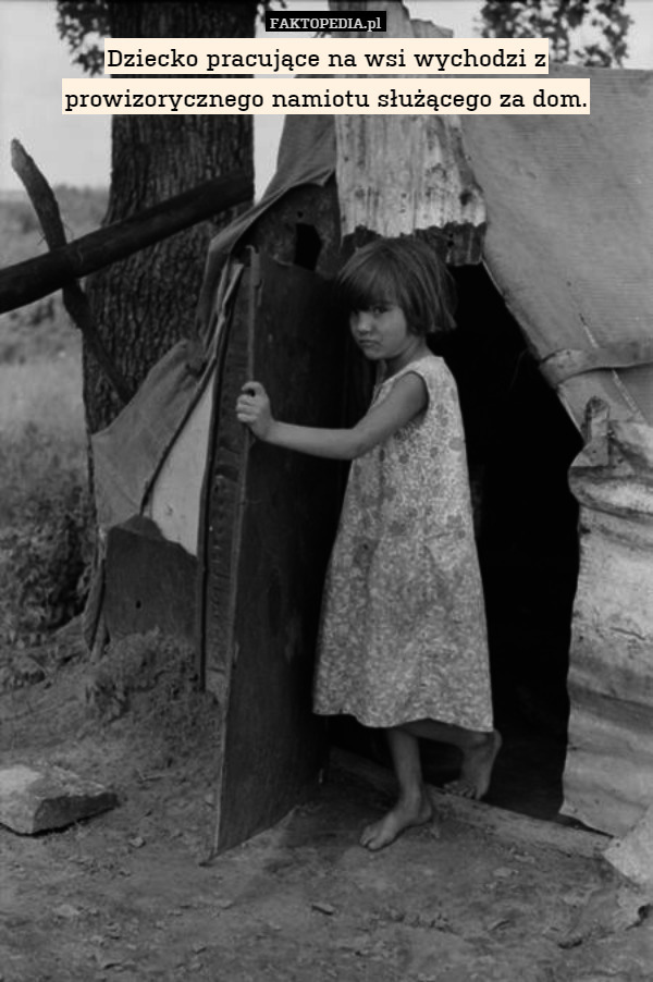 Dziecko pracujące na wsi wychodzi z prowizorycznego namiotu służącego za dom. 