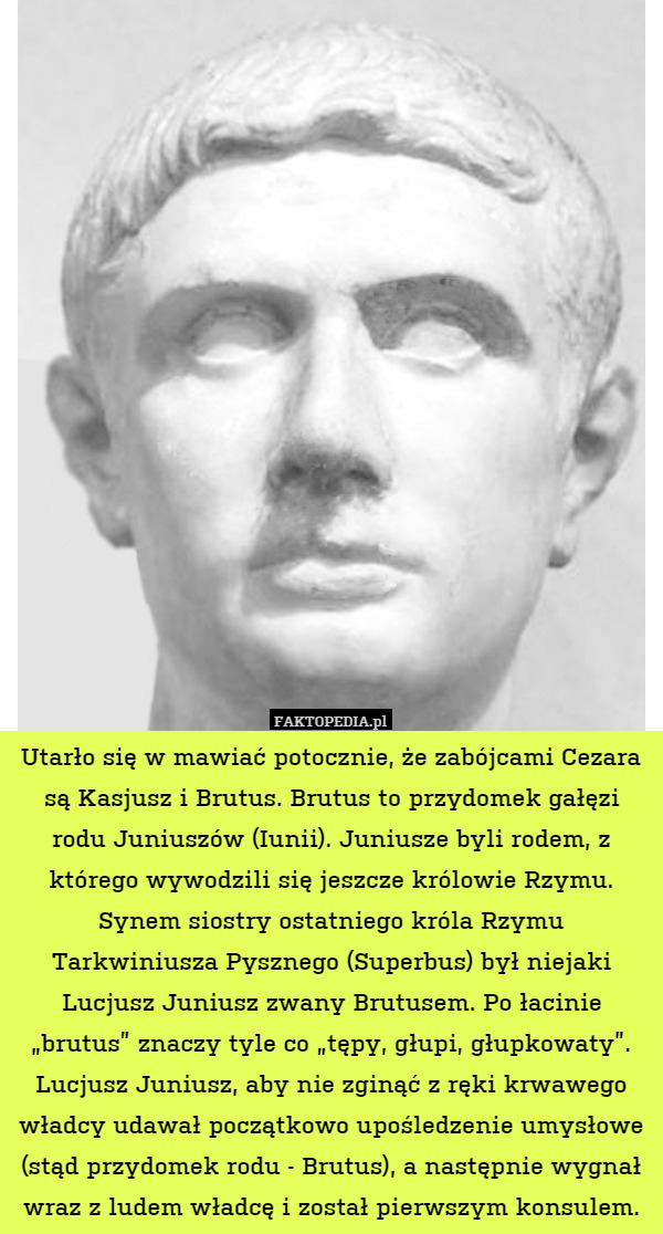Utarło się w mawiać potocznie, że zabójcami Cezara są Kasjusz i Brutus. Brutus to przydomek gałęzi rodu Juniuszów (Iunii). Juniusze byli rodem, z którego wywodzili się jeszcze królowie Rzymu. Synem siostry ostatniego króla Rzymu Tarkwiniusza Pysznego (Superbus) był niejaki Lucjusz Juniusz zwany Brutusem. Po łacinie „brutus” znaczy tyle co „tępy, głupi, głupkowaty”. Lucjusz Juniusz, aby nie zginąć z ręki krwawego władcy udawał początkowo upośledzenie umysłowe (stąd przydomek rodu - Brutus), a następnie wygnał wraz z ludem władcę i został pierwszym konsulem. 