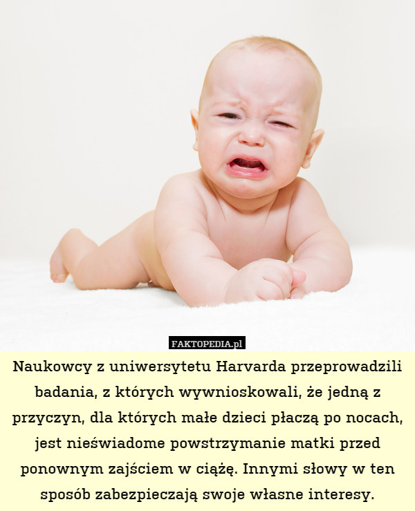 Naukowcy z uniwersytetu Harvarda przeprowadzili badania, z których wywnioskowali, że jedną z przyczyn, dla których małe dzieci płaczą po nocach, jest nieświadome powstrzymanie matki przed ponownym zajściem w ciążę. Innymi słowy w ten sposób zabezpieczają swoje własne interesy. 