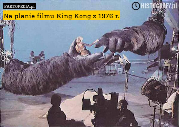 Na planie filmu King Kong z 1976 r. 