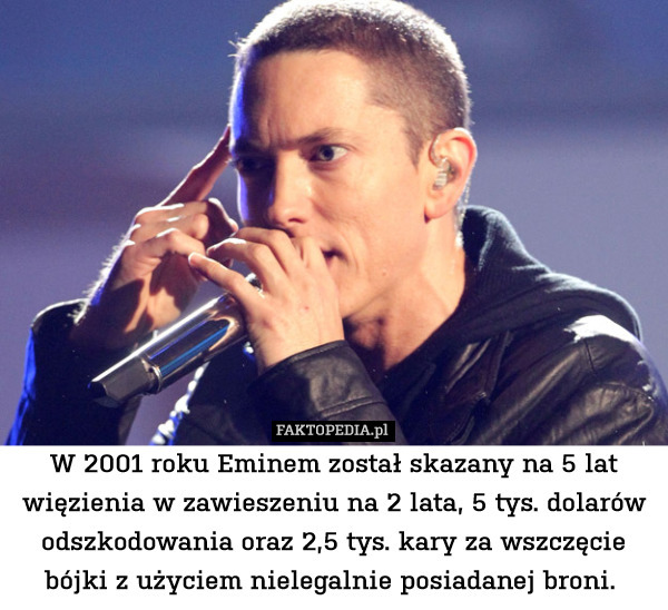 W 2001 roku Eminem został skazany na 5 lat więzienia w zawieszeniu na 2 lata, 5 tys. dolarów odszkodowania oraz 2,5 tys. kary za wszczęcie bójki z użyciem nielegalnie posiadanej broni. 