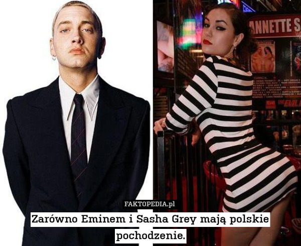 Zarówno Eminem i Sasha Grey mają polskie pochodzenie. 