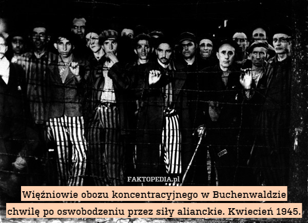 Więźniowie obozu koncentracyjnego w Buchenwaldzie chwilę po oswobodzeniu przez siły alianckie. Kwiecień 1945. 