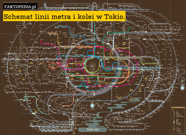 Schemat linii metra i kolei w Tokio. 