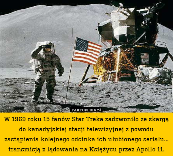 W 1969 roku 15 fanów Star Treka zadzwoniło ze skargą do kanadyjskiej stacji telewizyjnej z powodu zastąpienia kolejnego odcinka ich ulubionego serialu... transmisją z lądowania na Księżycu przez Apollo 11. 