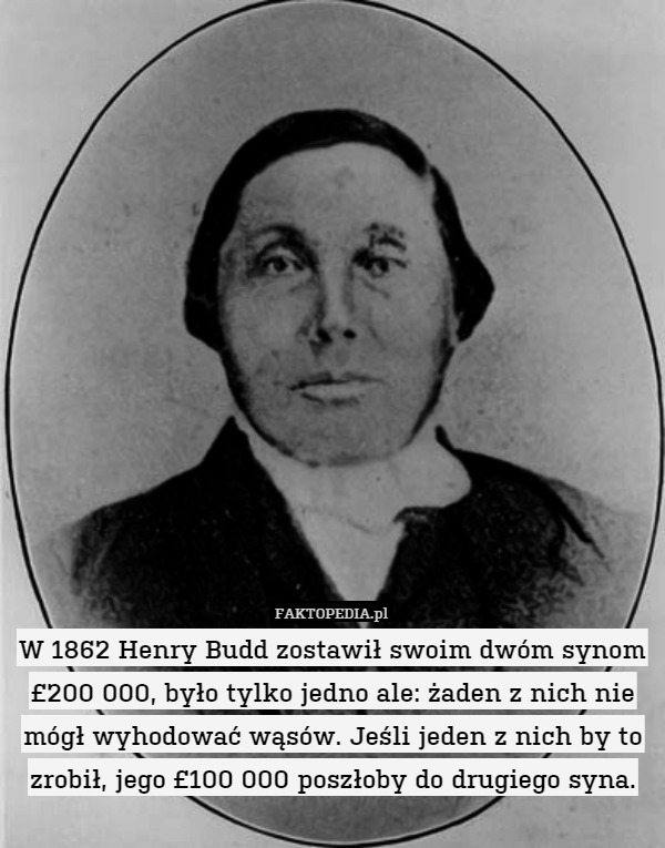 W 1862 Henry Budd zostawił swoim dwóm synom £200 000, było tylko jedno ale: żaden z nich nie mógł wyhodować wąsów. Jeśli jeden z nich by to zrobił, jego £100 000 poszłoby do drugiego syna. 