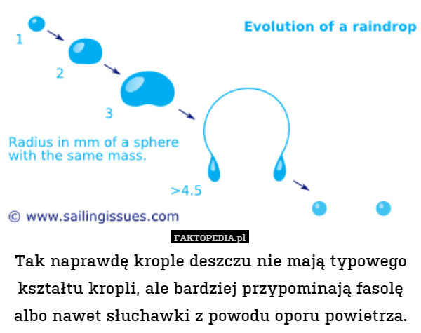 Tak naprawdę krople deszczu nie mają typowego kształtu kropli, ale bardziej przypominają fasolę albo nawet słuchawki z powodu oporu powietrza. 