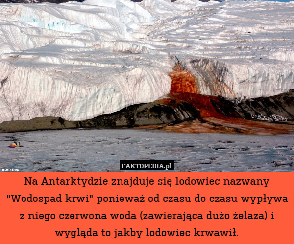 Na Antarktydzie znajduje się lodowiec nazwany "Wodospad krwi" ponieważ od czasu do czasu wypływa z niego czerwona woda (zawierająca dużo żelaza) i wygląda to jakby lodowiec krwawił. 