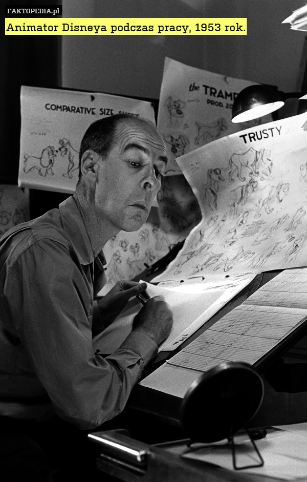 Animator Disneya podczas pracy, 1953 rok. 