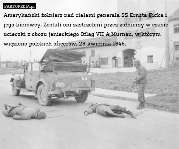 Amerykański żołnierz nad ciałami generała SS Ernsta Ficka i jego kierowcy. Zostali oni zastrzeleni przez żołnierzy w czasie ucieczki z obozu jenieckiego Oflag VII A Murnau, w którym więziono polskich oficerów. 29 kwietnia 1945. 