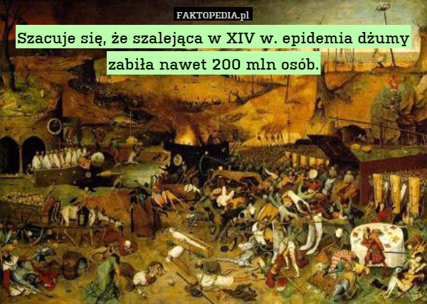 Szacuje się, że szalejąca w XIV w. epidemia dżumy zabiła nawet 200 mln osób. 