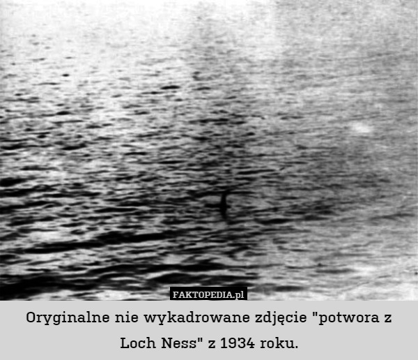 Oryginalne nie wykadrowane zdjęcie "potwora z Loch Ness" z 1934 roku. 