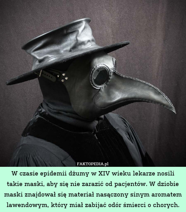 W czasie epidemii dżumy w XIV wieku lekarze nosili takie maski, aby się nie zarazić od pacjentów. W dziobie maski znajdował się materiał nasączony sinym aromatem lawendowym, który miał zabijać odór śmierci o chorych. 