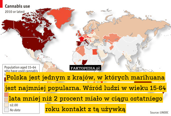 Polska jest jednym z krajów, w których marihuana jest najmniej popularna. Wśród ludzi w wieku 15-64 lata mniej niż 2 procent miało w ciągu ostatniego roku kontakt z tą używką 
