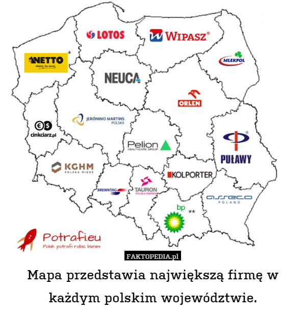 Mapa przedstawia największą firmę w każdym polskim województwie. 