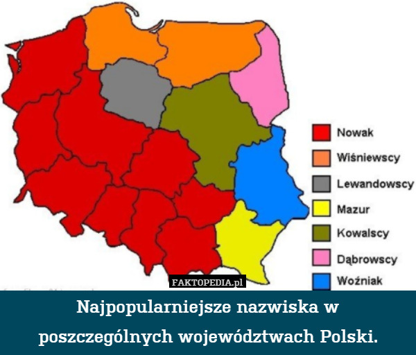Najpopularniejsze nazwiska w poszczególnych województwach Polski. 