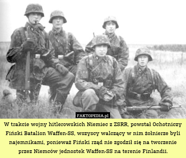 W trakcie wojny hitlerowskich Niemiec z ZSRR, powstał Ochotniczy Fiński Batalion Waffen-SS, wszyscy walczący w nim żołnierze byli najemnikami, ponieważ Fiński rząd nie zgodził się na tworzenie przez Niemców jednostek Waffen-SS na terenie Finlandii. 