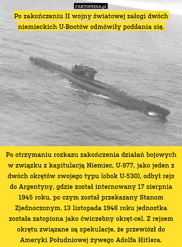 Po zakończeniu II wojny światowej załogi dwóch niemieckich U-Bootów odmówiły poddania się.











Po otrzymaniu rozkazu zakończenia działań bojowych w związku z kapitulacją Niemiec, U-977, jako jeden z dwóch okrętów swojego typu (obok U-530), odbył rejs do Argentyny, gdzie został internowany 17 sierpnia 1945 roku, po czym został przekazany Stanom Zjednoczonym. 13 listopada 1946 roku jednostka została zatopiona jako ćwiczebny okręt-cel. Z rejsem okrętu związane są spekulacje, że przewiózł do Ameryki Południowej żywego Adolfa Hitlera. 